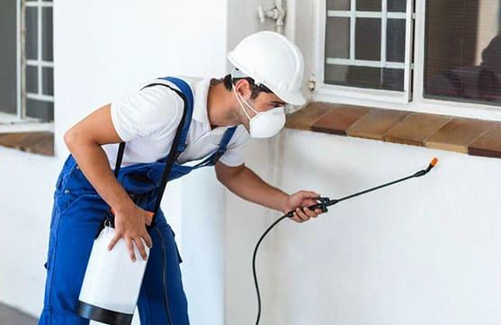 Licensed pest control technician treating an exterior wall